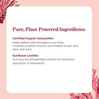 Pure Synergy Astaxanthin Extract | Organic Algae Antioxidant

