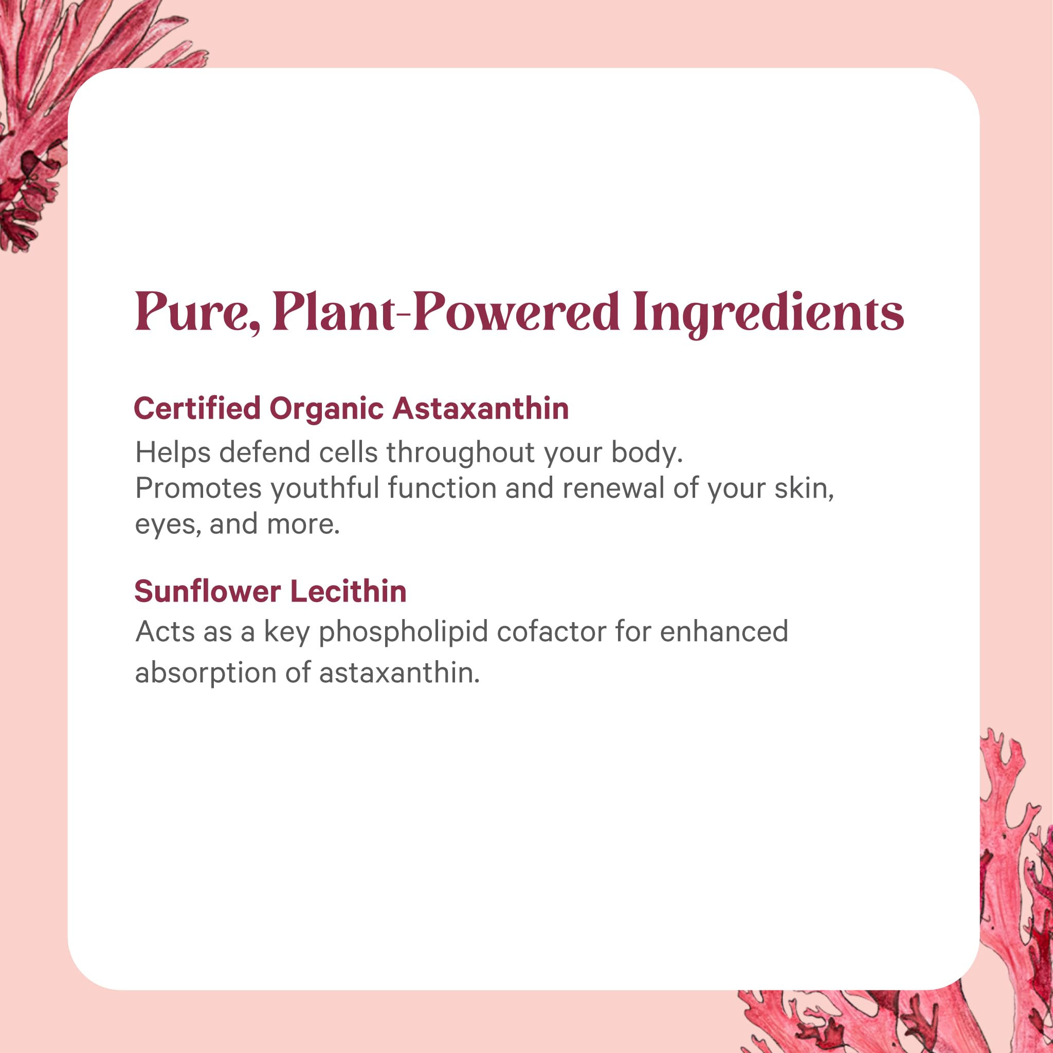 Pure Synergy Astaxanthin Extract | Organic Algae Antioxidant

