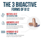 BioActive Vitamin B12 5000 mcg - 3 BioActive Forms

