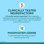 Neuriva Plus Memory & Focus Supplements | Neurofactor

