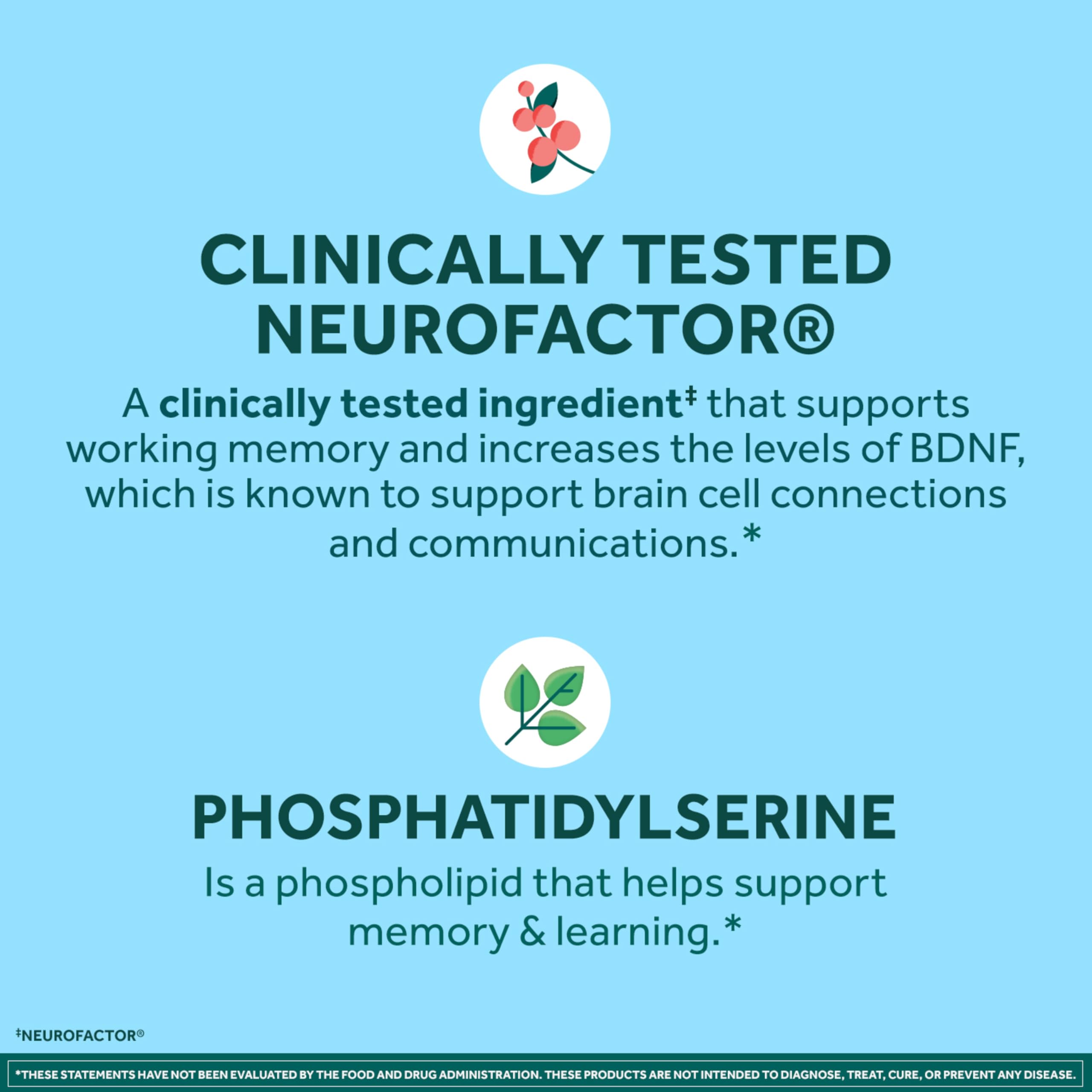 Neuriva Plus Memory & Focus Supplements | Neurofactor

