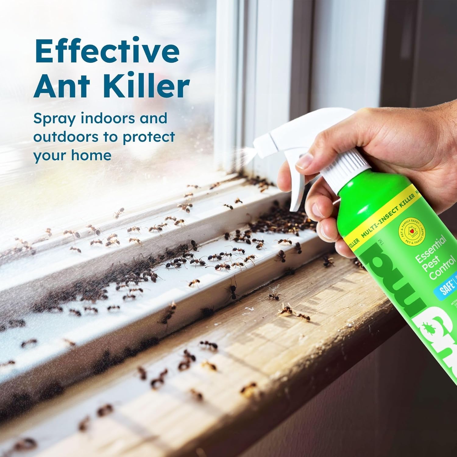 BugMD Ant Killer & Bug Spray for Indoor & Outdoor Pests

