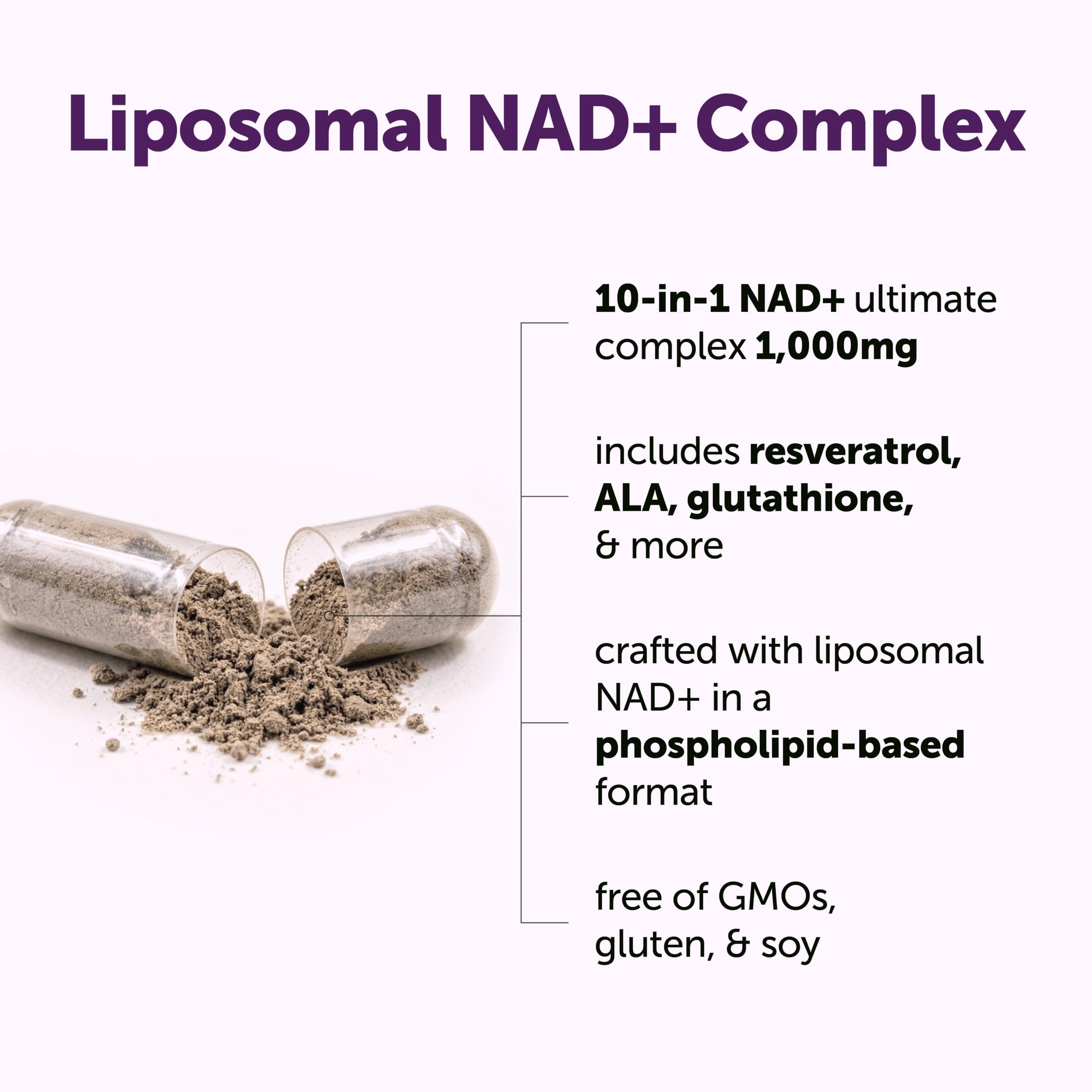 Micro Ingredients Liposomal NAD+ Complex NMN Pathway

