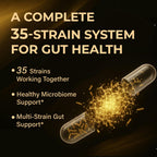 Probiotic with Prebiotics for Gut Health – Vegan, Non-GMO

