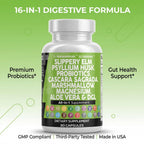 Probiotic Digestive Supplement by Clean Nutraceuticals

