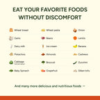 FODZYME Digestive Enzymes for Gut Health


