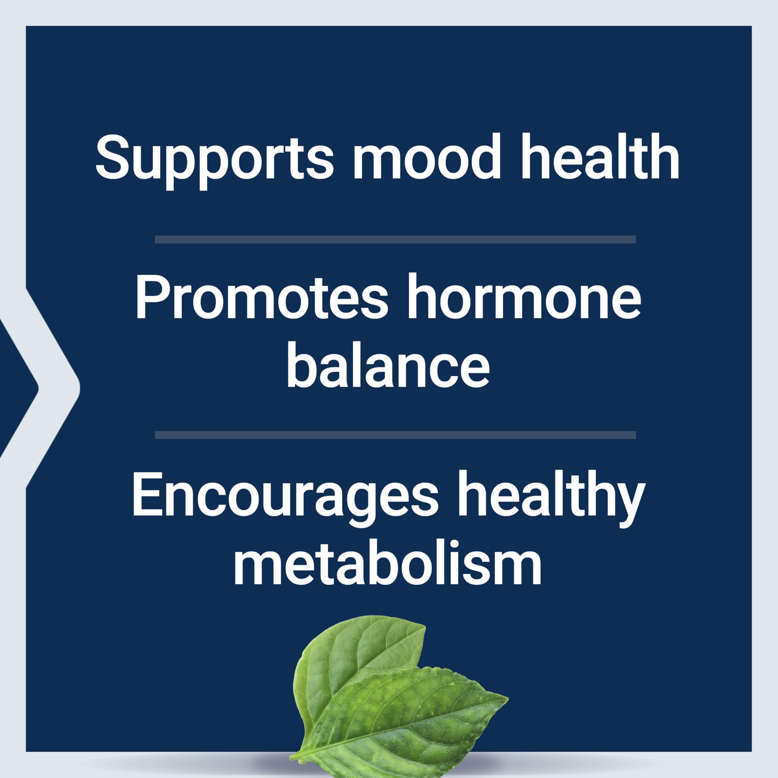 Life Extension Inositol Supplement - Mood & Metabolism

