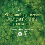New Chapter Vegan Algae Omega-3 DHA & EPA Supplement

