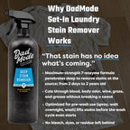 DadMode Enzyme Deep Stain Remover

