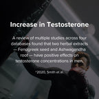 Testosterone Support for Men by Peak Potential

