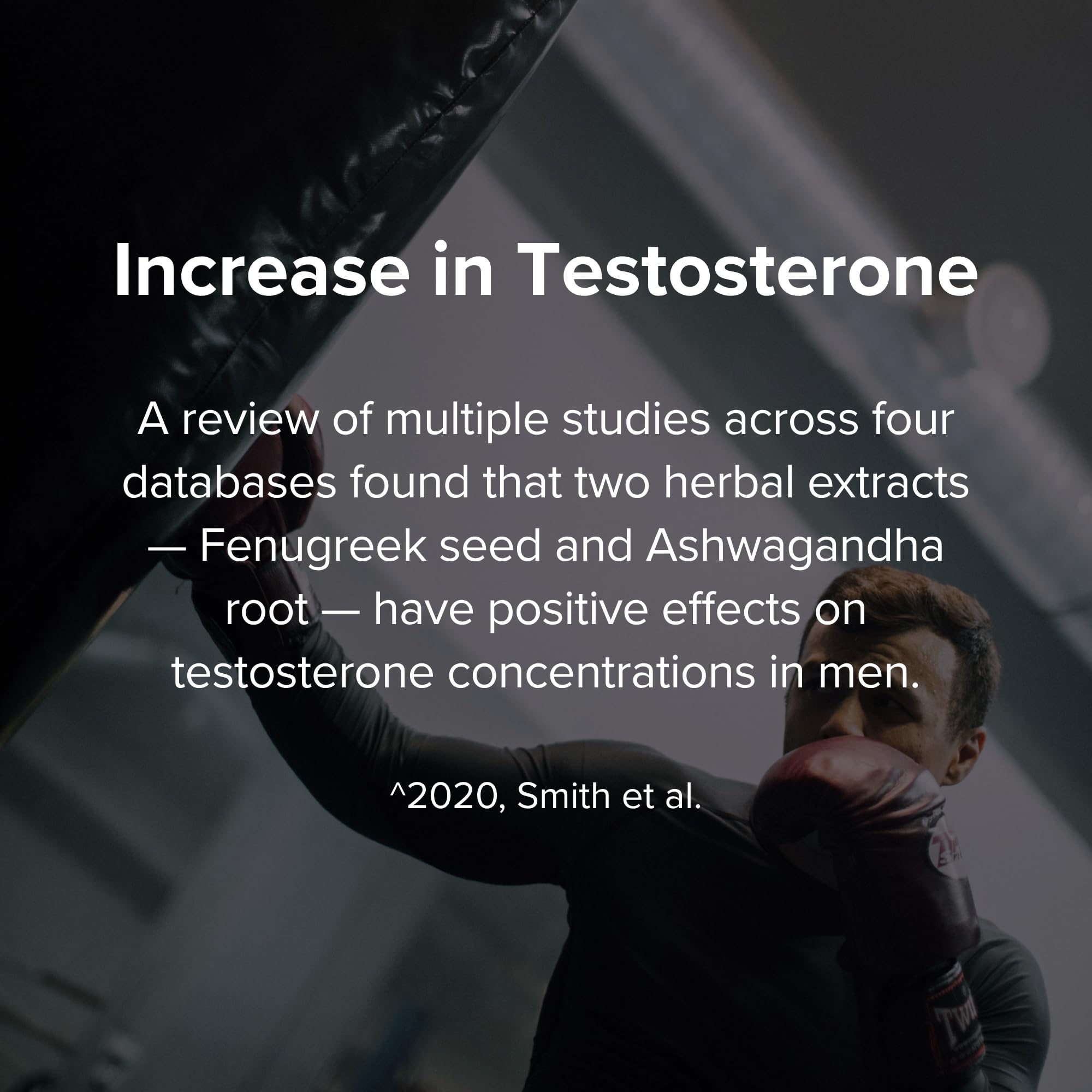 Testosterone Support for Men by Peak Potential

