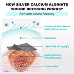 Ag Silver Calcium Alginate Wound Dressing 4x4 - Nonstick

