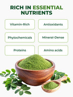 PURA VIDA Organic Moringa Powder | Single Origin

