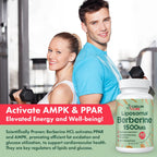CEALMU CORE Liposomal Berberine HCL 1500mg AMPK Support

