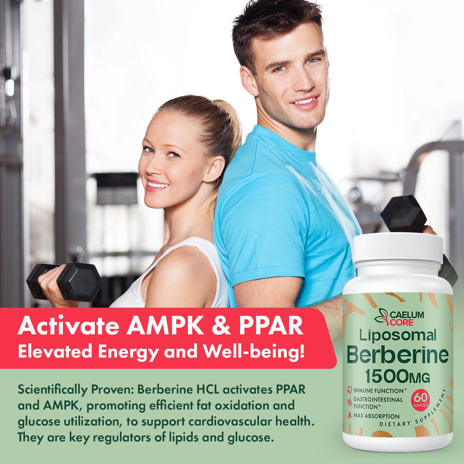 CEALMU CORE Liposomal Berberine HCL 1500mg AMPK Support

