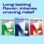 Nicorette 4 mg Cinnamon Surge Nicotine Gum Stop Smoking Aid

