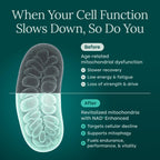 Liposomal Energy Support Supplement | Daily Vitality

