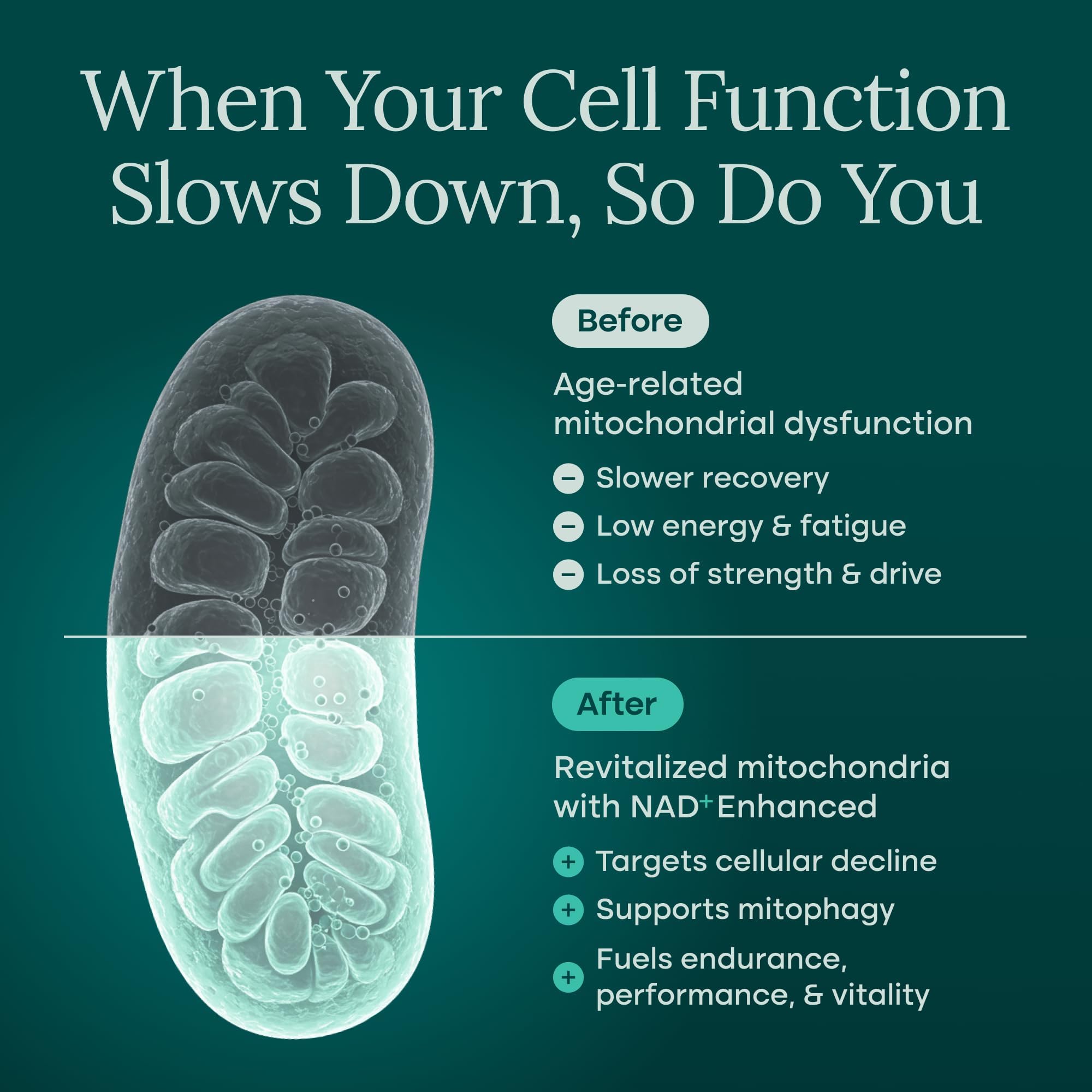 Liposomal Energy Support Supplement | Daily Vitality

