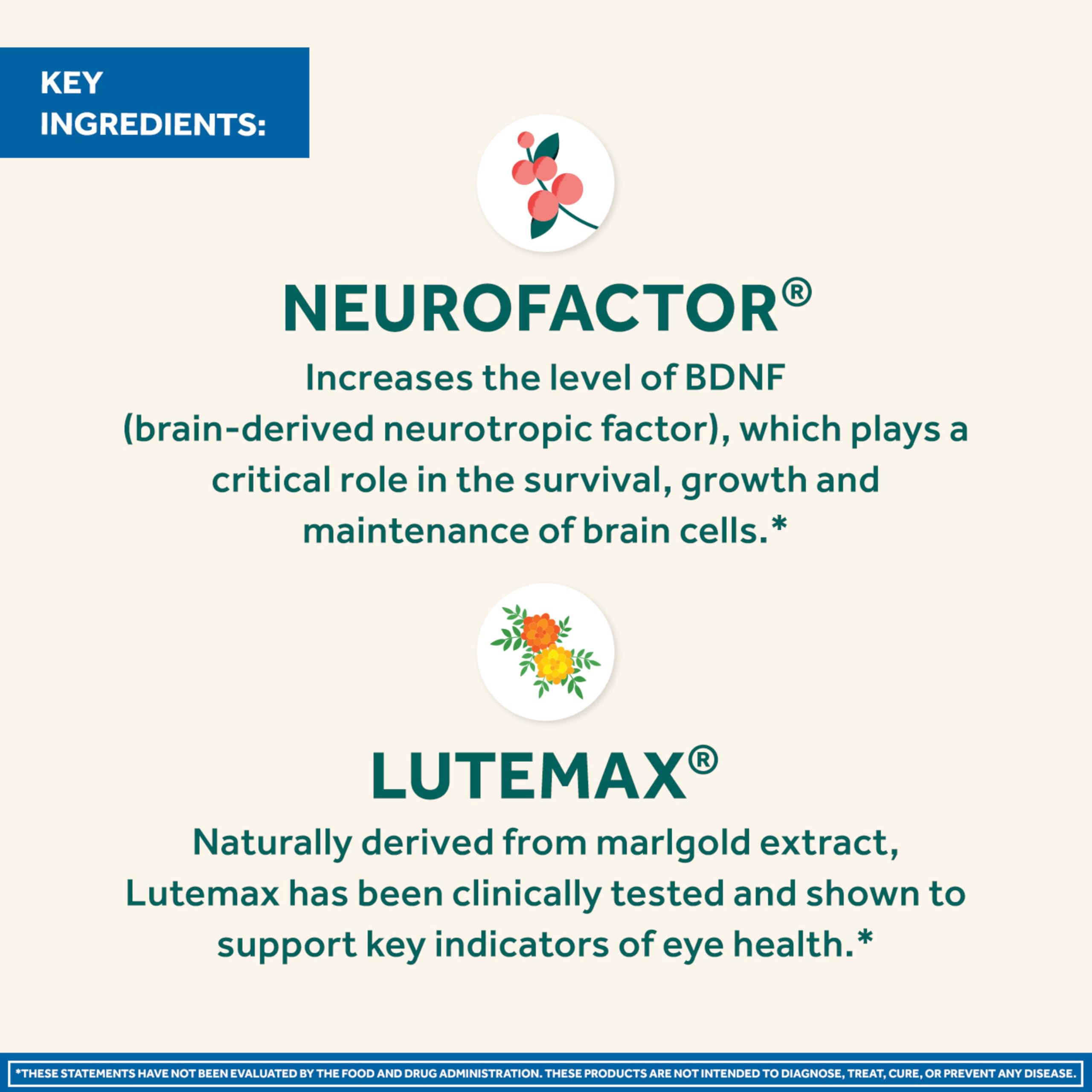 Neuriva Brain + Eye Supplements | Memory & Focus

