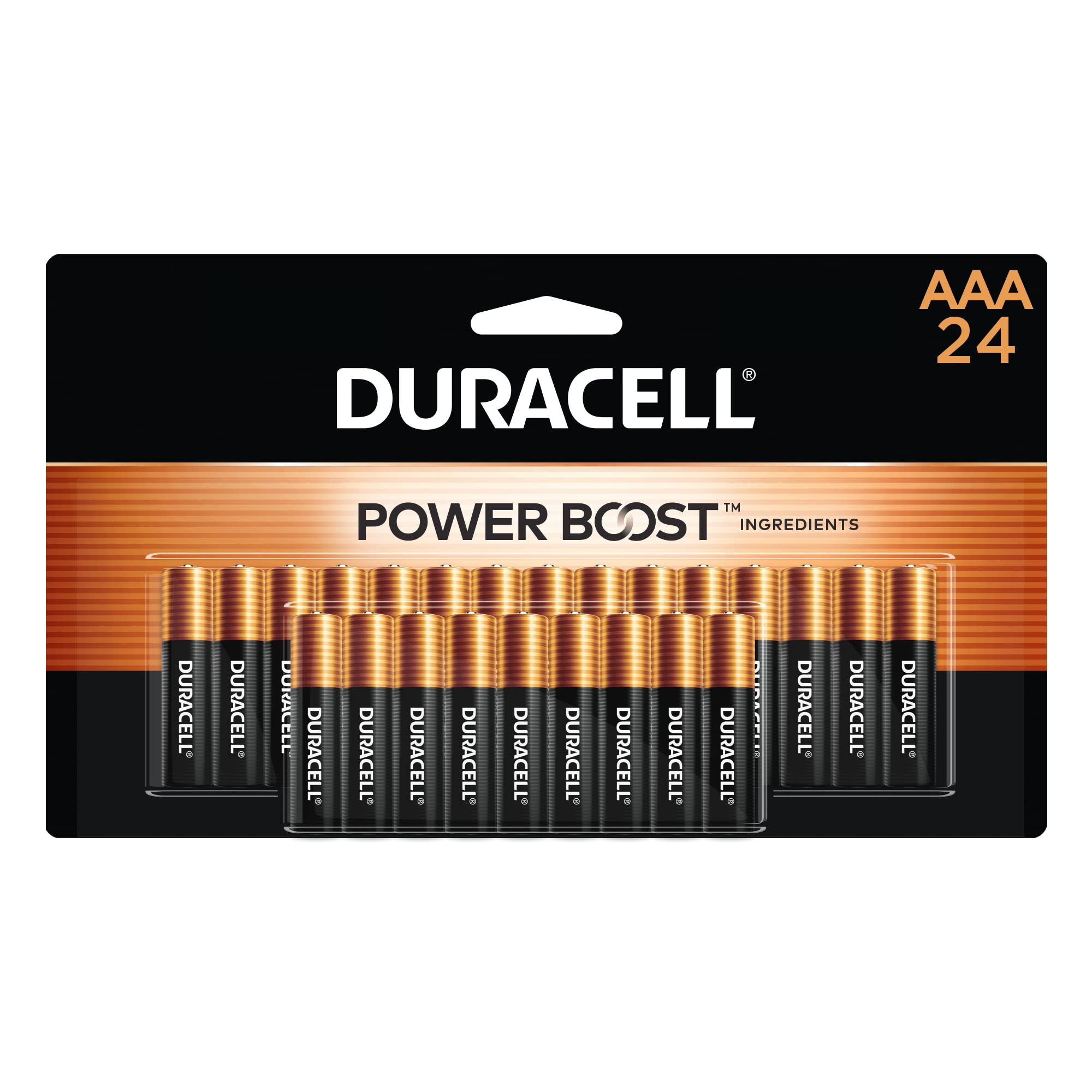 Duracell Coppertop AAA Alkaline Batteries with Power Boost

