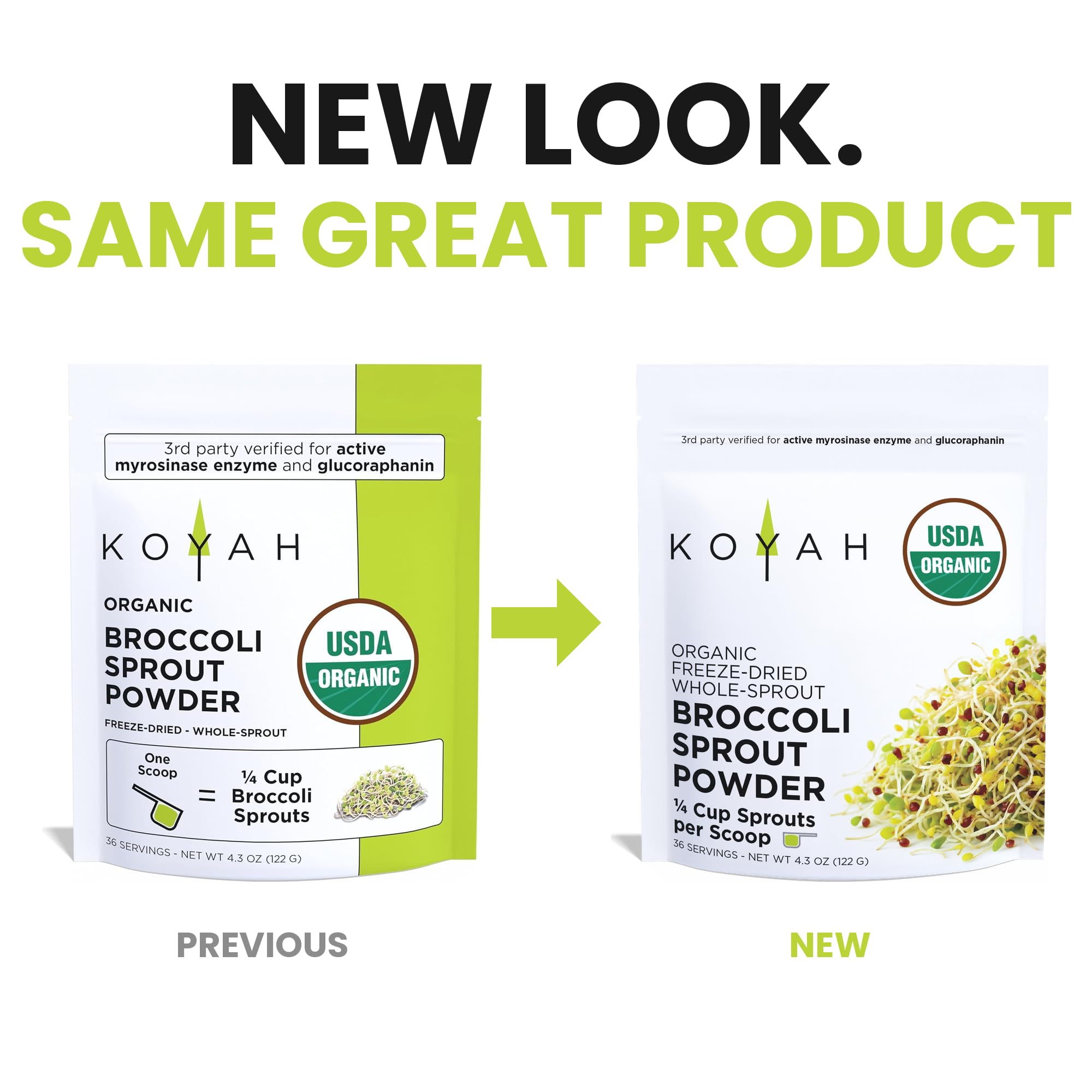 KOYAH Broccoli Sprout Powder | Easy Nutrition

