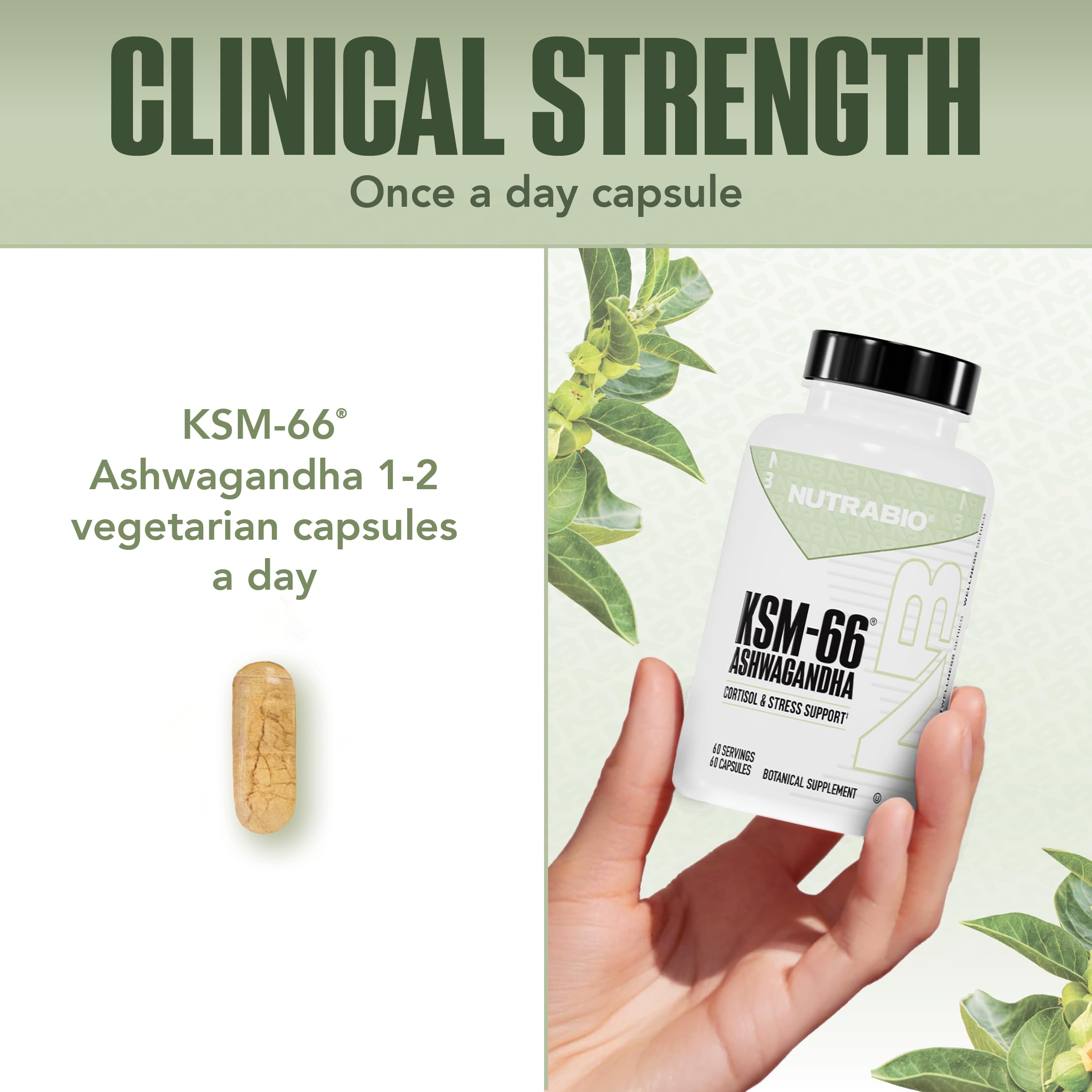 NutraBio Ashwagandha KSM-66 | Stress & Mood Support

