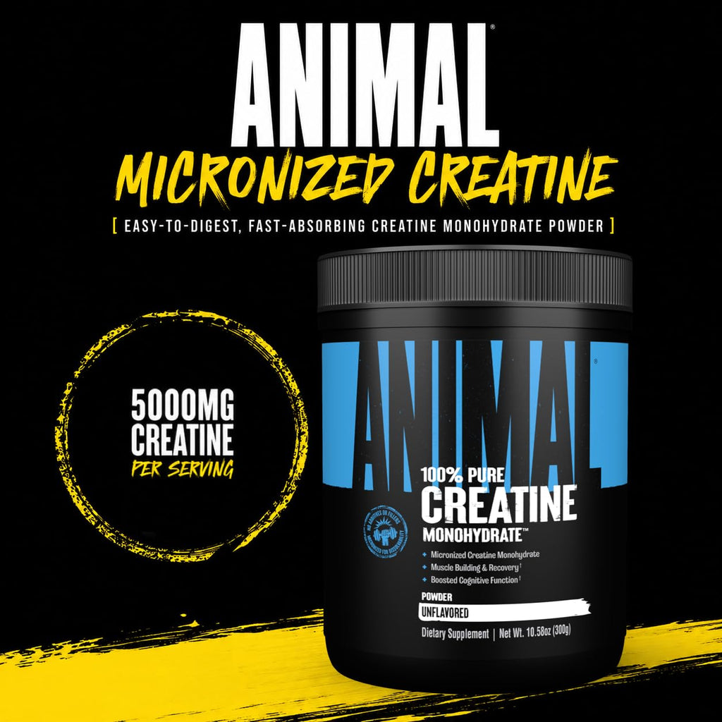 Animal Creatine Monohydrate Powder – Micronized Performance


