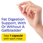 Enzymedica Lypo Gold Digestive Enzymes


