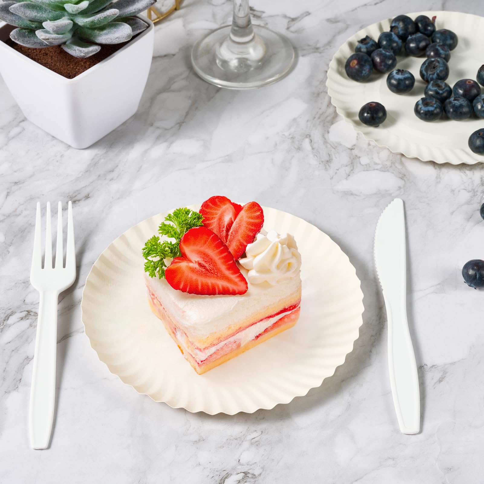 FOCUSLINE Paper Plates White Uncoated Disposable

