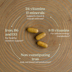 New Chapter Postnatal Vitamins Lactation Fermented D3

