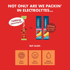 WaterBoy Daily Hydration Electrolyte Powder Drink Mix

