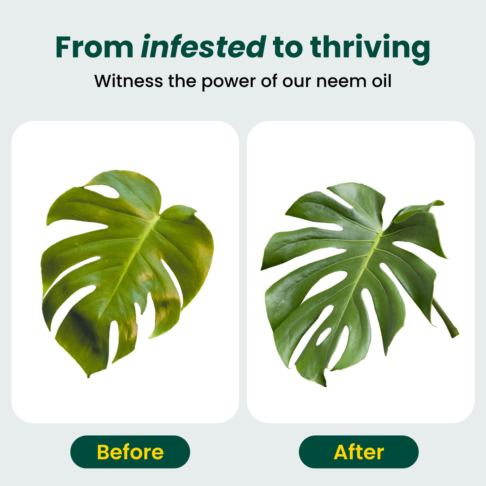 Neem Oil for Plants Kit with Sprayer and Essential Oils

