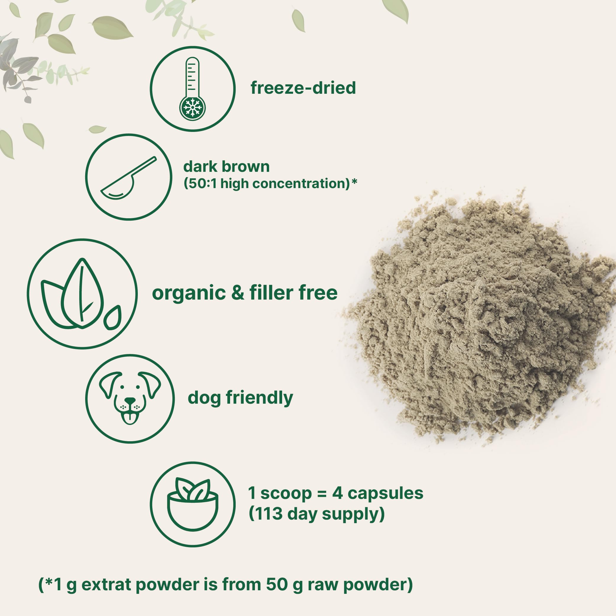 Herbal Dietary Supplement | Everyday Wellness

