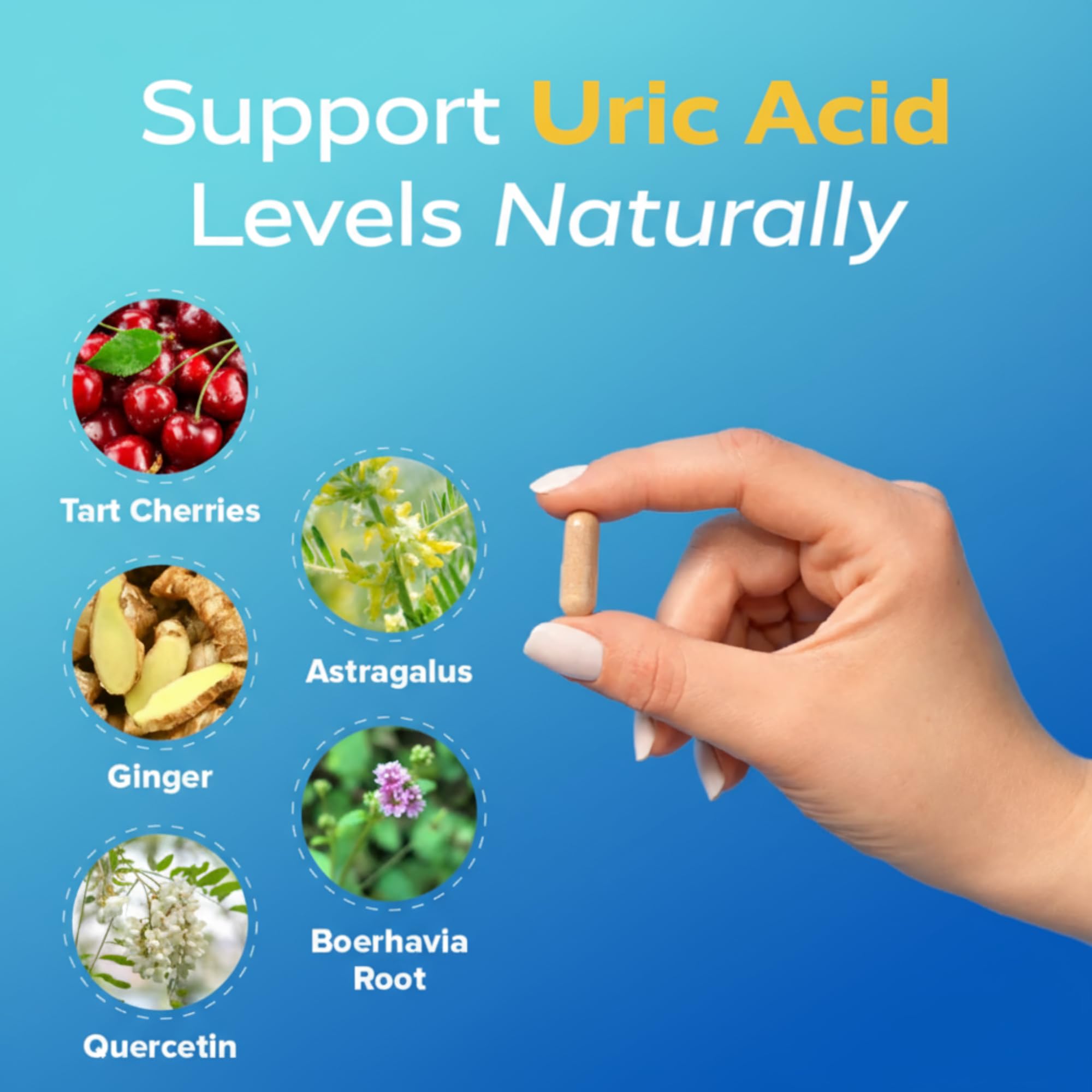 Redd Remedies Gouch Uric Acid & Joint Support

