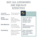 Quicksilver Scientific Liposomal GABA + L-Theanine Brain

