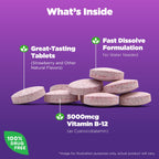 Natrol Vitamin B12 Fast Dissolve 5000 mcg | Energy Support

