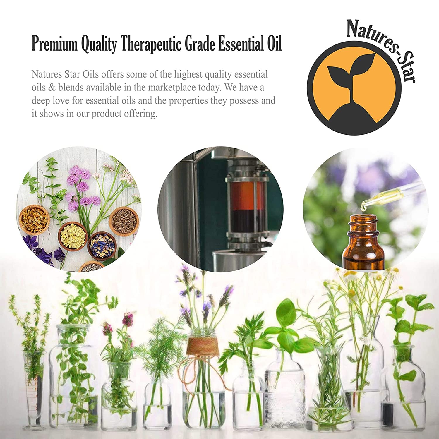 Natures-Star Essential Oil for Aromatherapy and DIY

