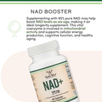 Double Wood Supplement | Anti-Aging and Cellular Regeneration

