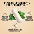 Paulina FITNESS Reset Overnight Digestive Health Supplement

