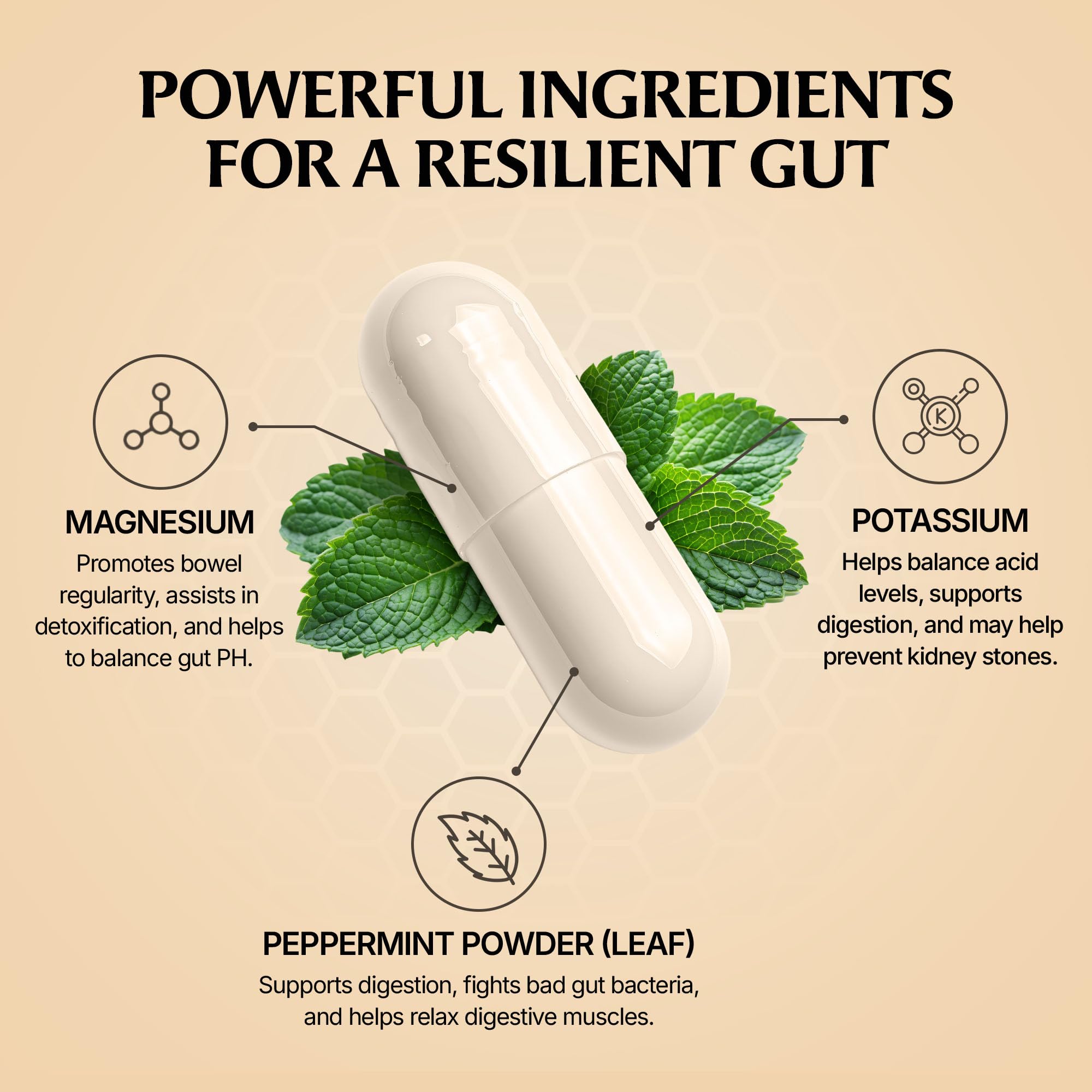 Paulina FITNESS Reset Overnight Digestive Health Supplement

