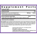 Vitamin B12 New Chapter Fermented 1,000 mcg Supplement

