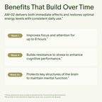 Seed Daily Focus & Energy Supplement | Focus & Clarity

