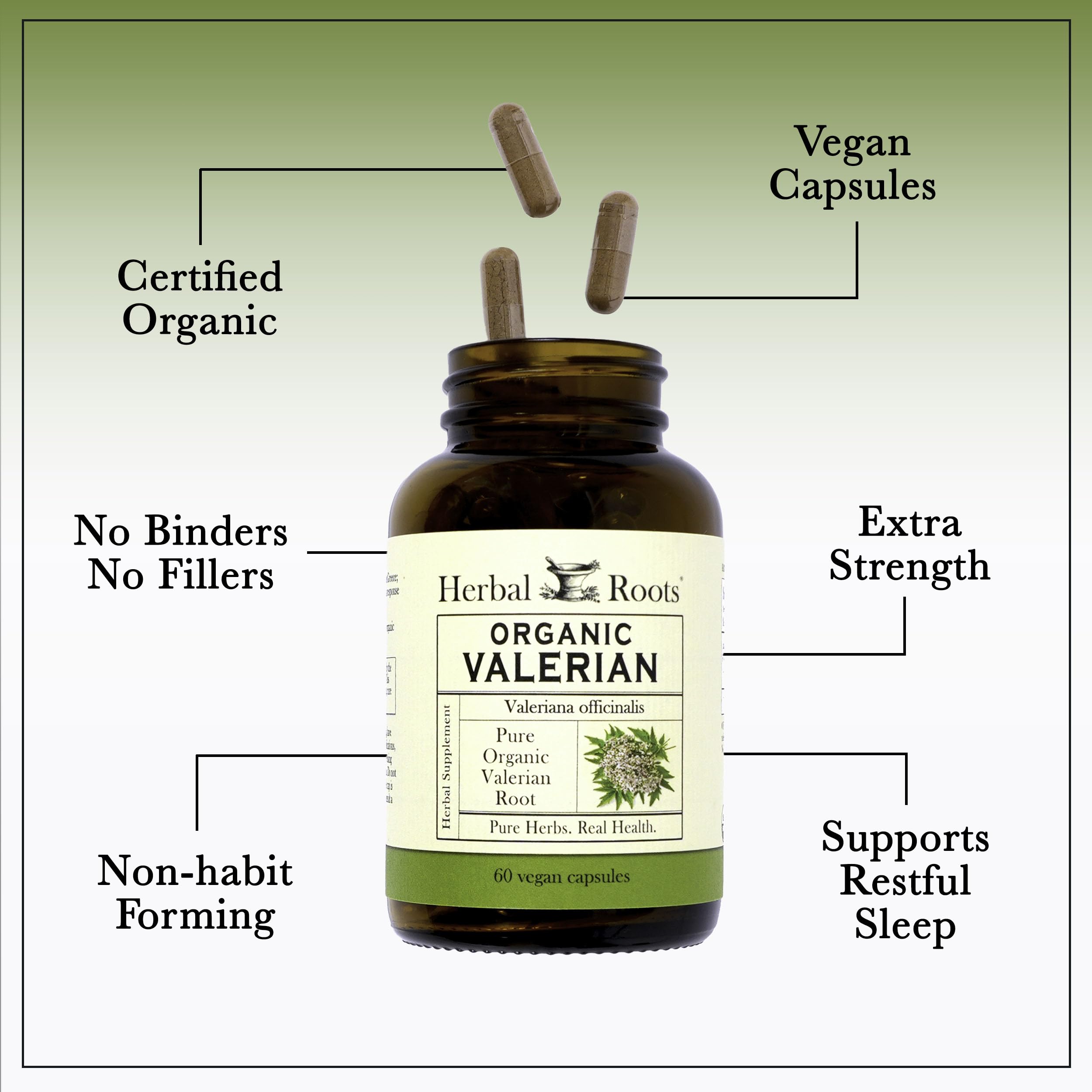 Herbal Roots Valerian Root Capsules - Organic Non-GMO

