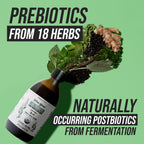 Flora Biome Probiotic Prebiotic Postbiotic Organic Wellness

