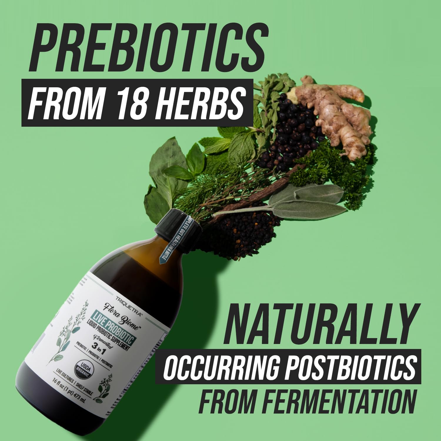 Flora Biome Probiotic Prebiotic Postbiotic Organic Wellness

