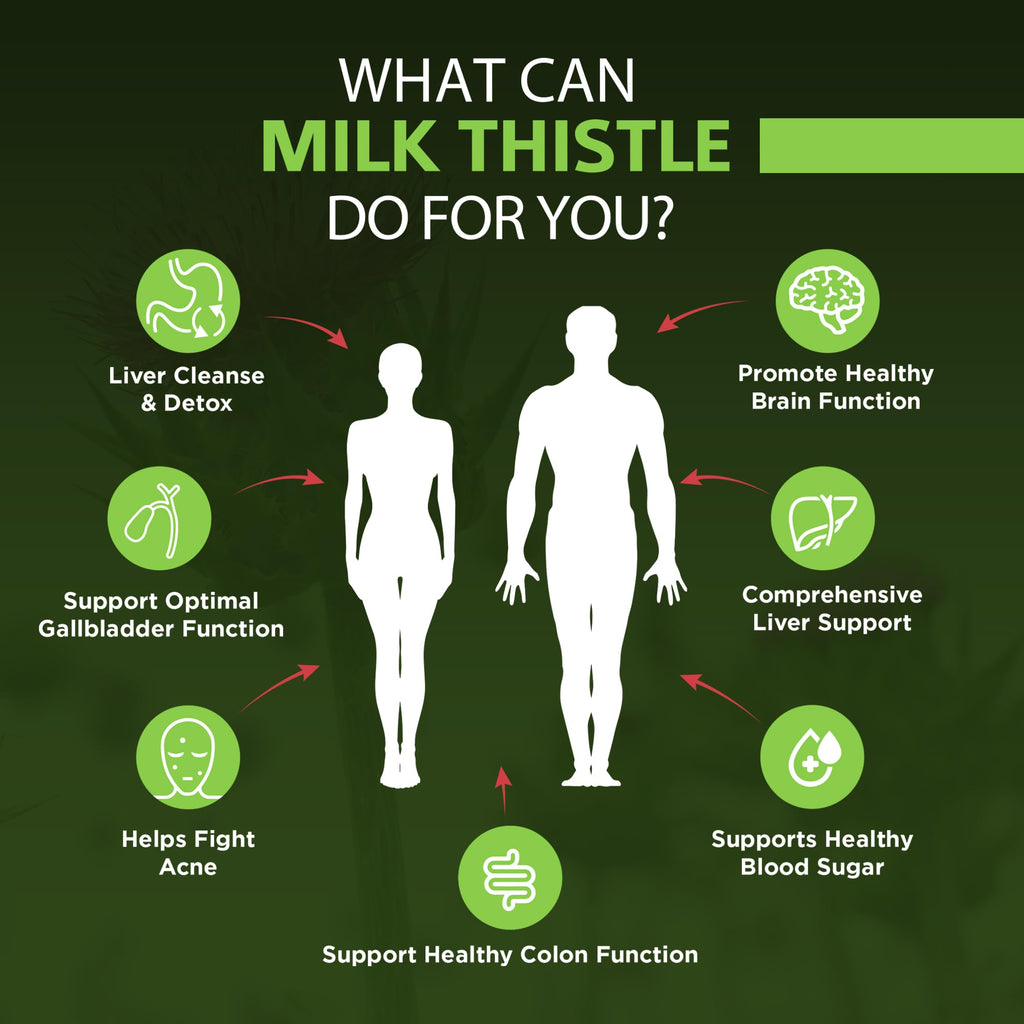 OmniBiotics Organic Milk Thistle Supplement

