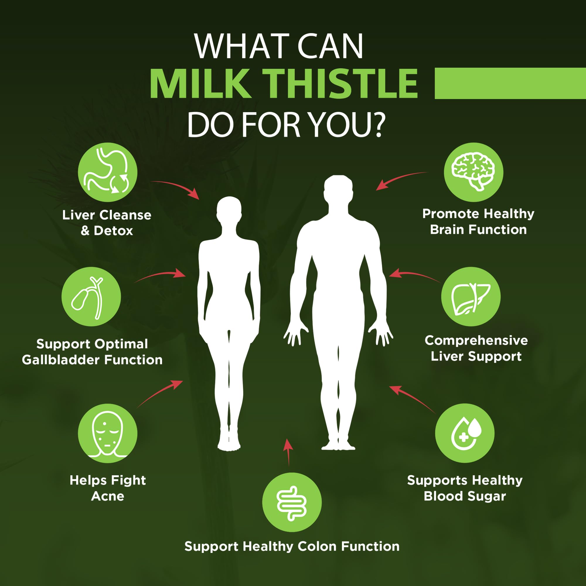 OmniBiotics Organic Milk Thistle Supplement

