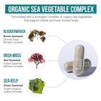 Organic Iodine Supplement | Sea Vegetable Complex


