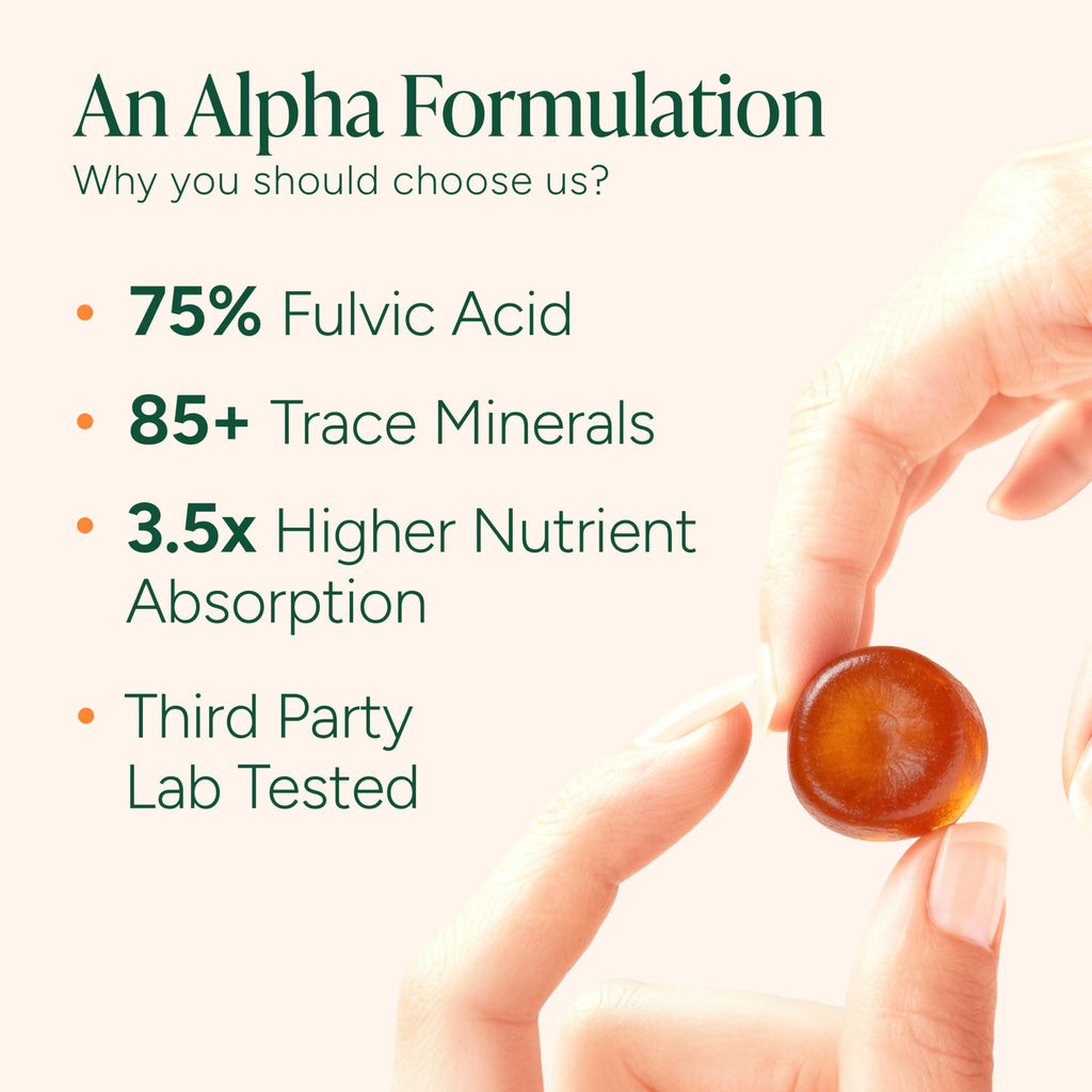 ROOT LABS Alpha Shilajit Gummies | 10-in-1 Formula

