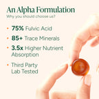 ROOT LABS Alpha Shilajit Gummies | 10-in-1 Formula

